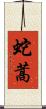 蛇蒿 Scroll