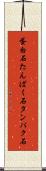 蛋白石 Scroll