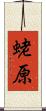 蛯原 Scroll
