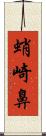 蛸崎鼻 Scroll