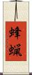 蜂蝋 Scroll