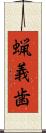蝋義歯 Scroll