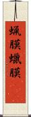 蝋膜 Scroll