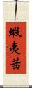 蝦夷茜 Scroll