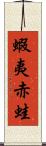 蝦夷赤蛙 Scroll