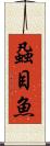 蝨目魚 Scroll