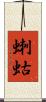 蝲蛄 Scroll