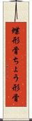 蝶形骨 Scroll