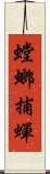 螳螂捕蟬 Scroll