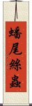 蟠尾絲蟲 Scroll
