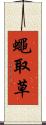 蠅取草 Scroll