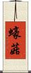 蠔菇 Scroll