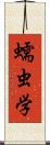 蠕虫学 Scroll