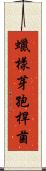 蠟樣芽孢桿菌 Scroll