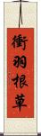 衝羽根草 Scroll