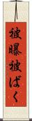 被曝 Scroll