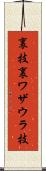 裏技 Scroll