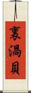 裏渦貝 Scroll