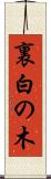 裏白の木 Scroll