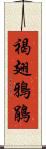 褐翅鴉鵑 Scroll