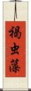 褐虫藻 Scroll
