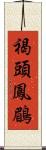 褐頭鳳鶥 Scroll