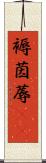 褥 Scroll