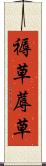 褥草 Scroll