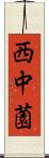 西中薗 Scroll