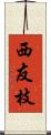 西友枝 Scroll