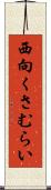 西向くさむらい Scroll