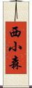 西小森 Scroll