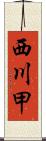 西川甲 Scroll