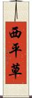 西平草 Scroll