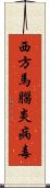 西方馬腦炎病毒 Scroll