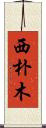 西朴木 Scroll