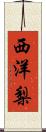 西洋梨 Scroll