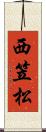 西笠松 Scroll