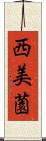西美薗 Scroll