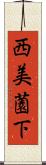 西美薗下 Scroll
