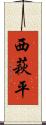西萩平 Scroll