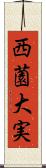 西薗大実 Scroll