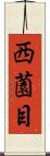 西薗目 Scroll