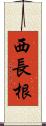 西長根 Scroll