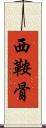 西鞍骨 Scroll