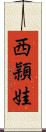 西頴娃 Scroll