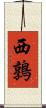 西鶉 Scroll