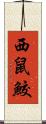 西鼠鮫 Scroll