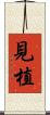 見植 Scroll