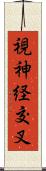 視神経交叉 Scroll